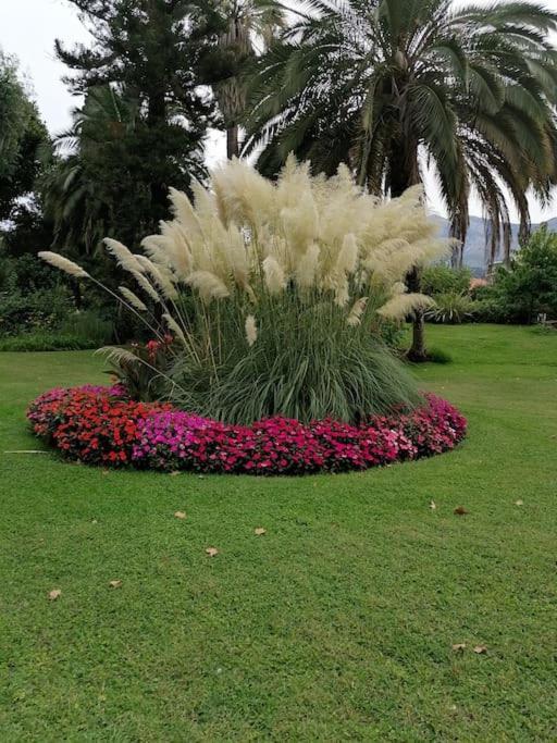 Imperial Palace Bord De Mer Menton Buitenkant foto